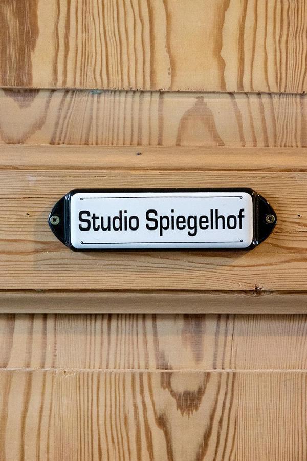 Studio Spiegelhof Γάνδη Εξωτερικό φωτογραφία